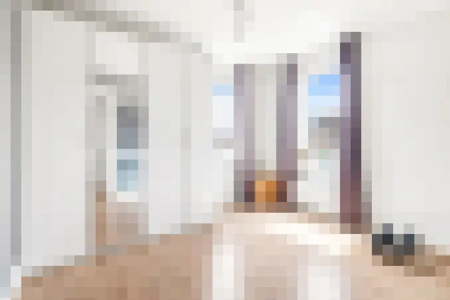 Marcus Aureliuslaan 18 Den Haag thumbnail 45