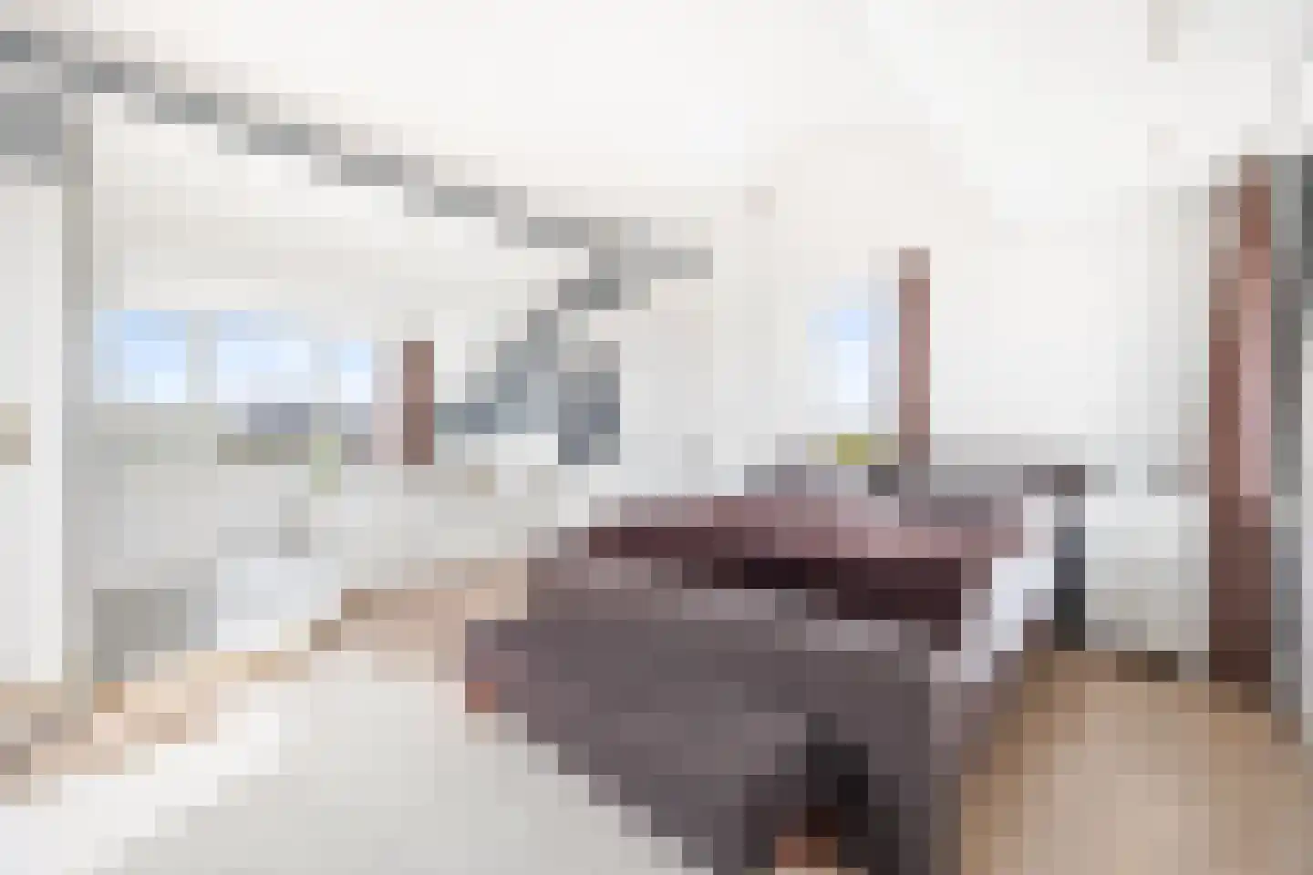 Marcus Aureliuslaan 18 Den Haag thumbnail 48