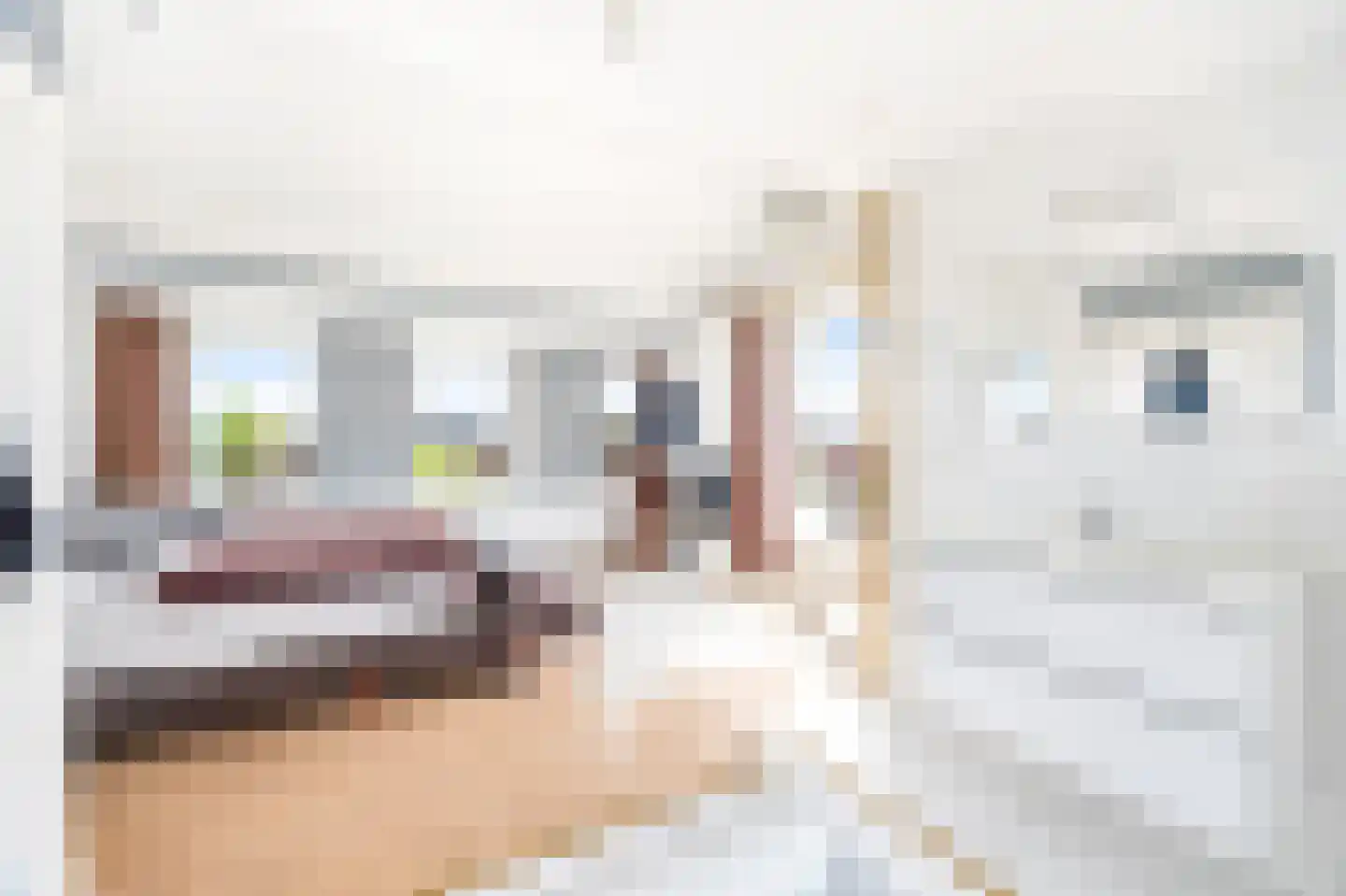 Marcus Aureliuslaan 18 Den Haag thumbnail 52