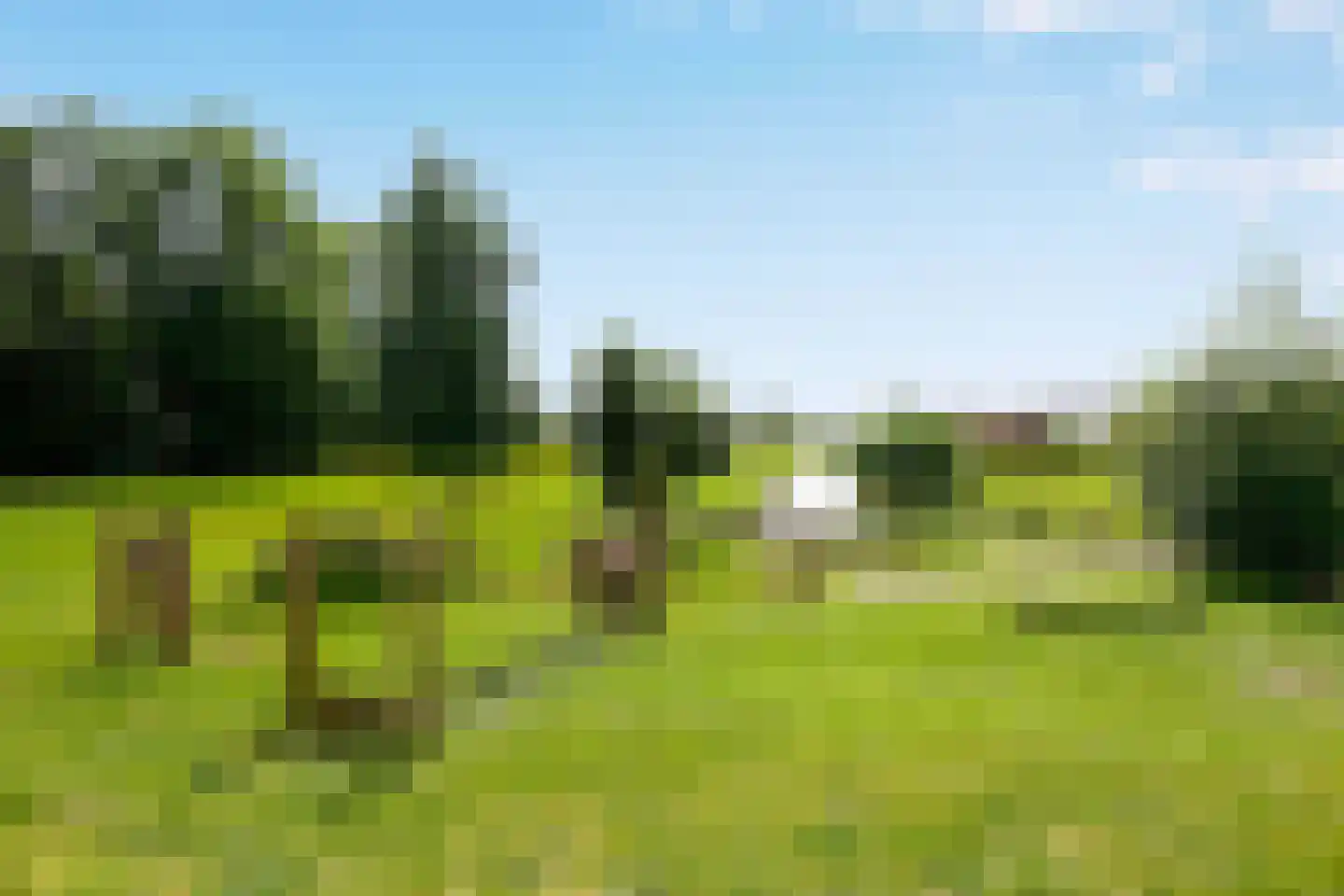 Marcus Aureliuslaan 18 Den Haag thumbnail 62