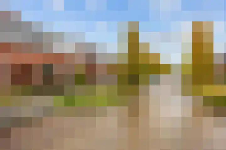 Marcus Buschstraat 137 Delfzijl thumbnail 39