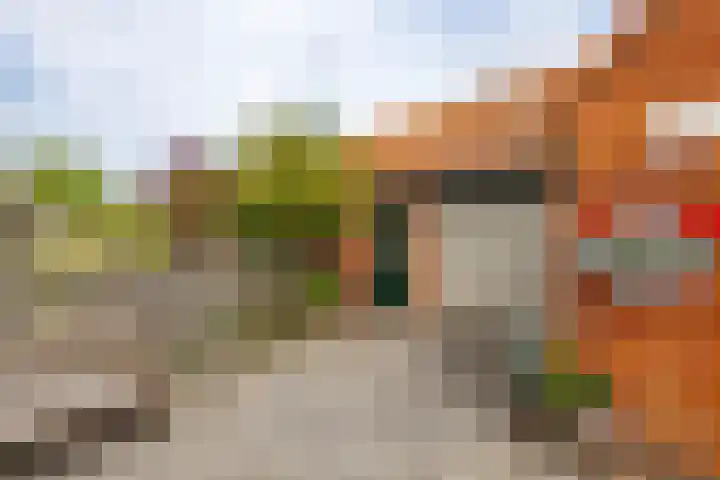 Marcus Buschstraat 82 Delfzijl thumbnail 34