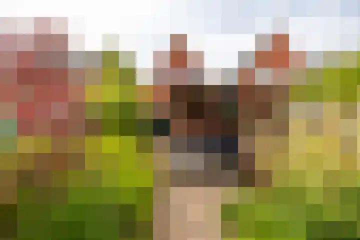 Marcus Buschstraat 82 Delfzijl thumbnail 8