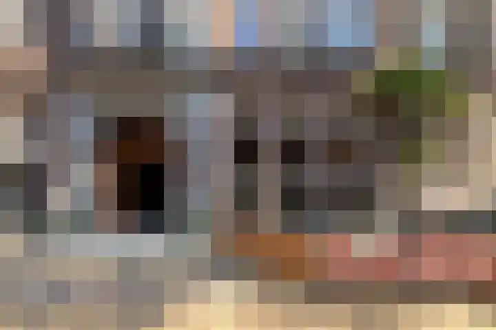 Marcusstraat 15 2 Amsterdam thumbnail 28