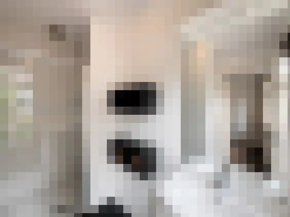 Marcusstraat 19 Amsterdam thumbnail 5