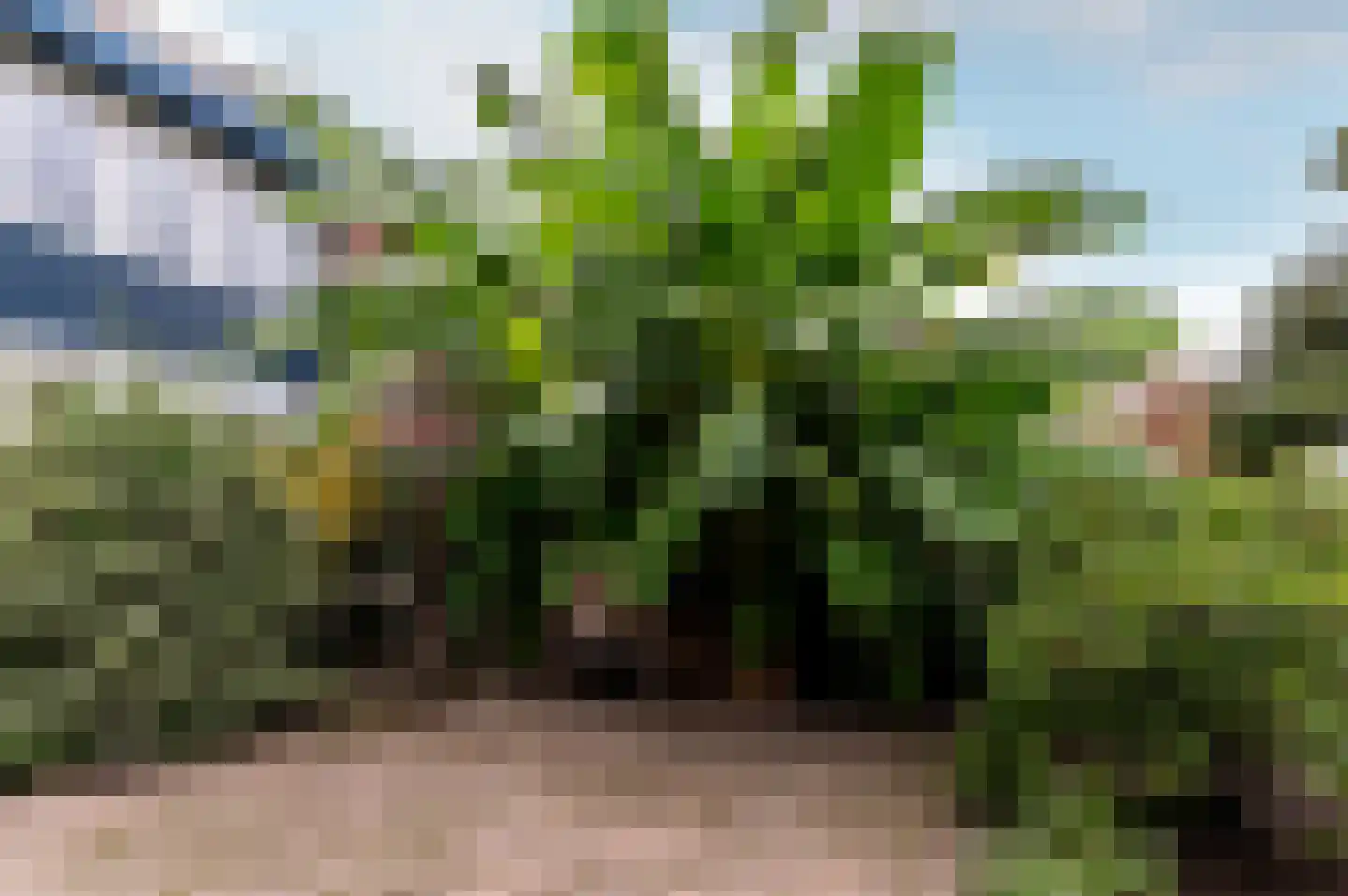Marderhoek 39 Lelystad thumbnail 41