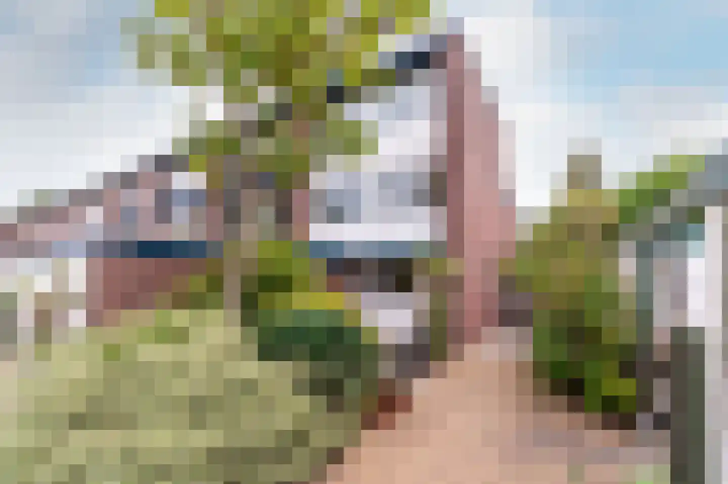 Marderhoek 39 Lelystad thumbnail 49