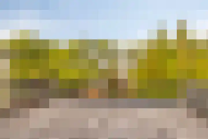 Marderhoek 7 Lelystad thumbnail 22