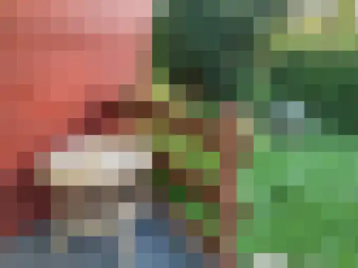 Marderleane 4 Rijs thumbnail 16