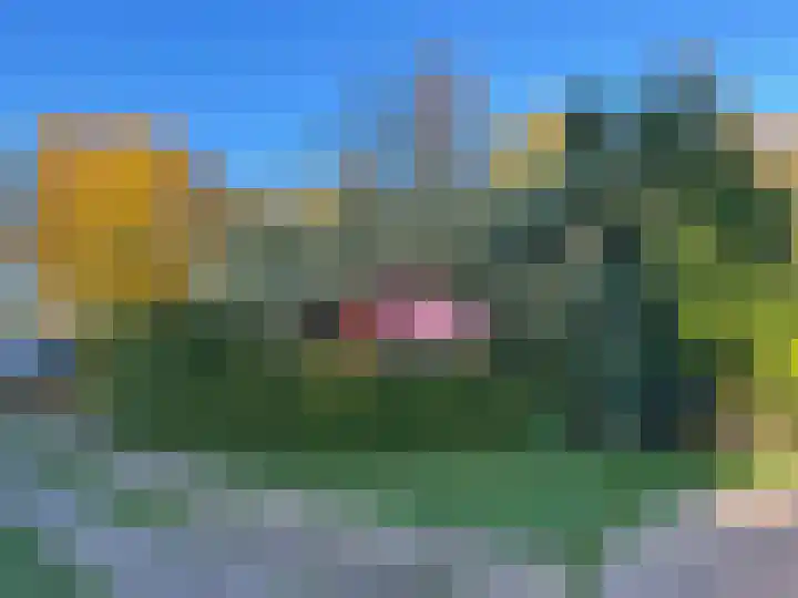 Marderleane 4 Rijs thumbnail 22