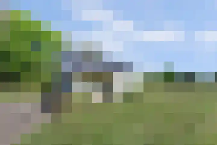 Marderleane 43 Rijs thumbnail 31