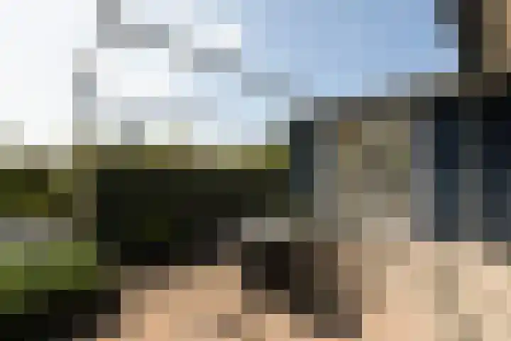 Marderleane 9 A 10 Rijs thumbnail 10