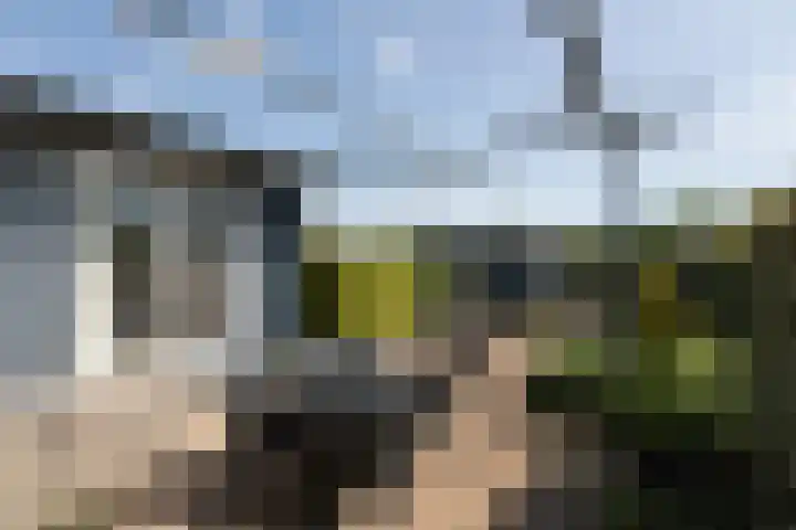 Marderleane 9 A 10 Rijs thumbnail 11