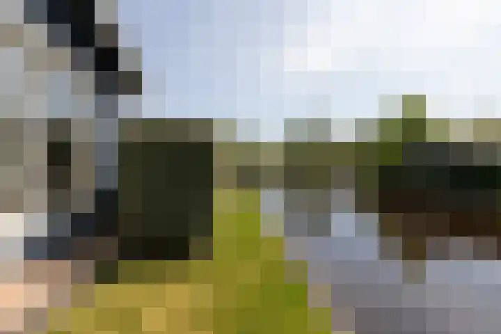 Marderleane 9 A 10 Rijs thumbnail 13