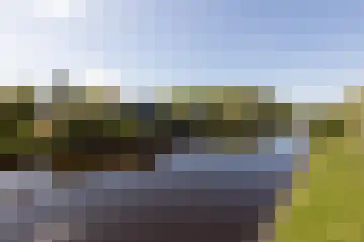Marderleane 9 A 10 Rijs thumbnail 14