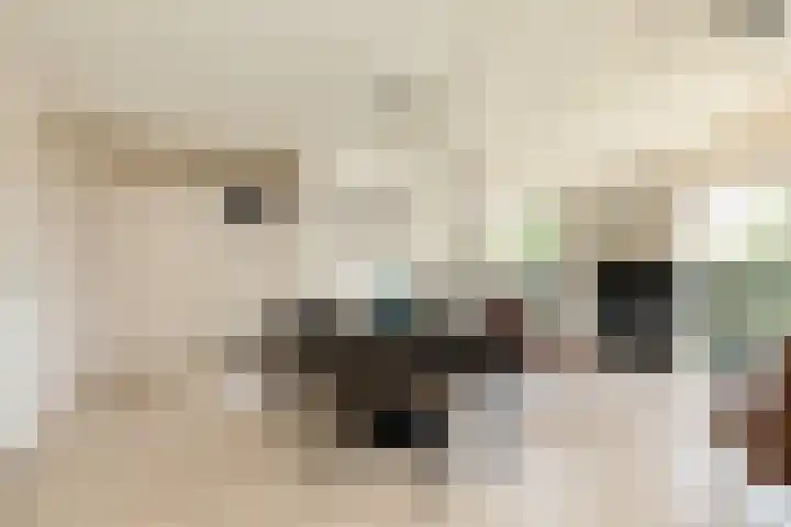 Marderleane 9 A 10 Rijs thumbnail 18