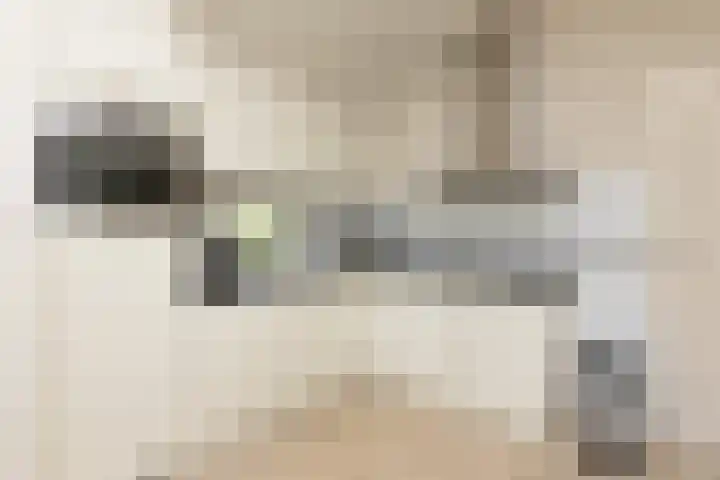 Marderleane 9 A 10 Rijs thumbnail 19