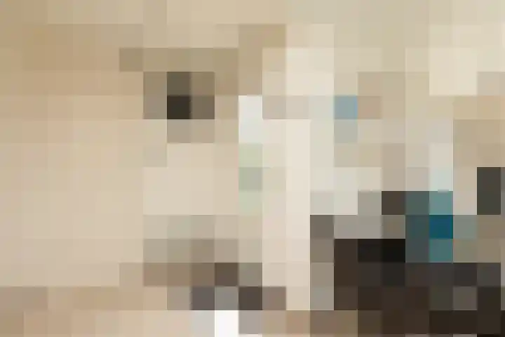 Marderleane 9 A 10 Rijs thumbnail 21