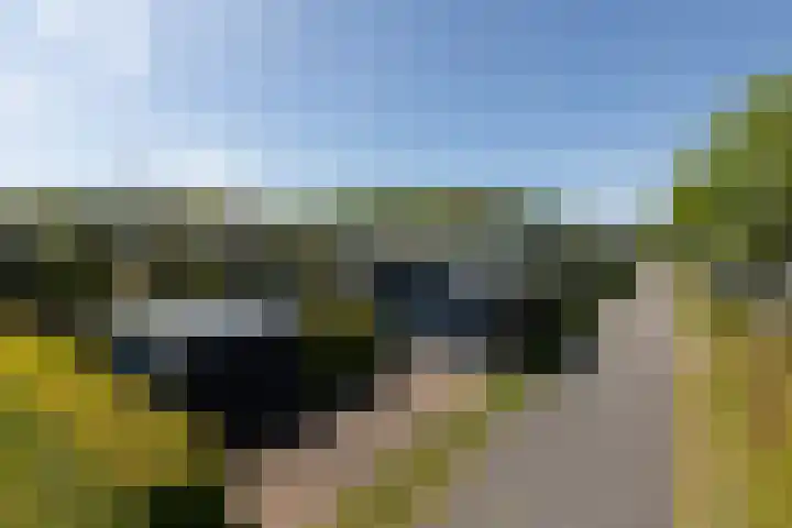 Marderleane 9 A 10 Rijs thumbnail 30