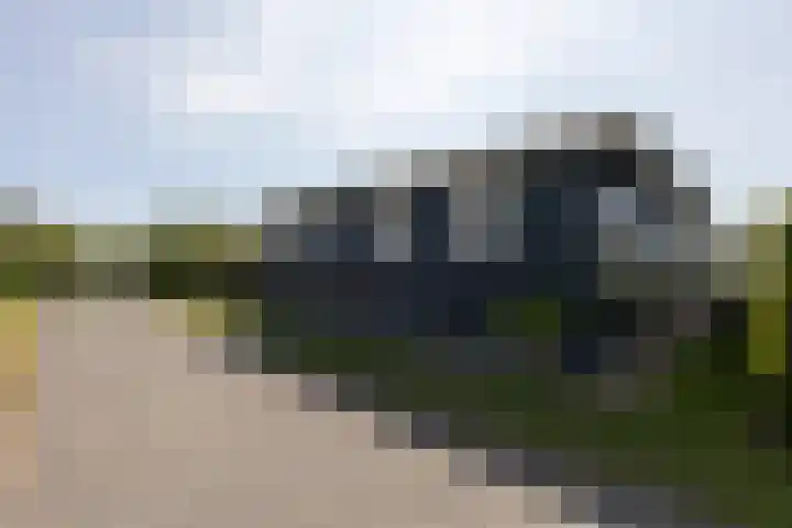 Marderleane 9 A 10 Rijs thumbnail 31