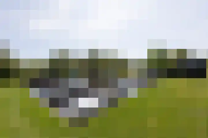 Marderleane 9 A 10 Rijs thumbnail 32