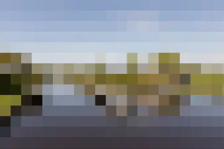 Marderleane 9 A 10 Rijs thumbnail 33