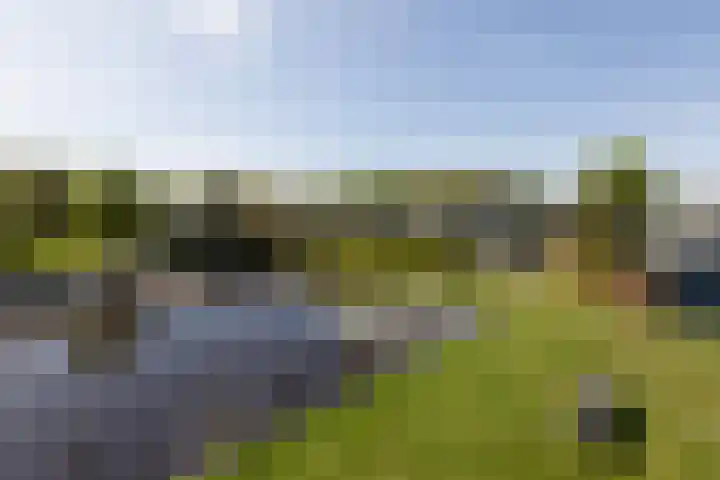 Marderleane 9 A 10 Rijs thumbnail 34
