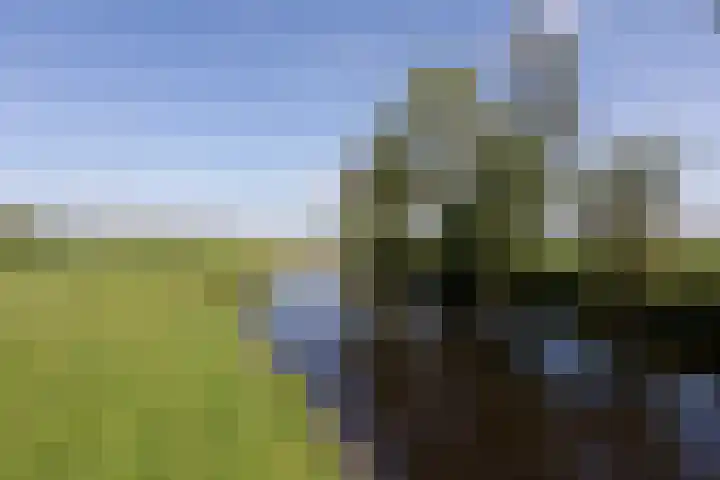 Marderleane 9 A 10 Rijs thumbnail 35
