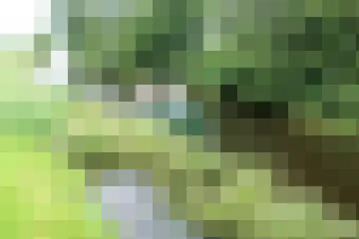 Marderleane 9 A 10 Rijs thumbnail 36