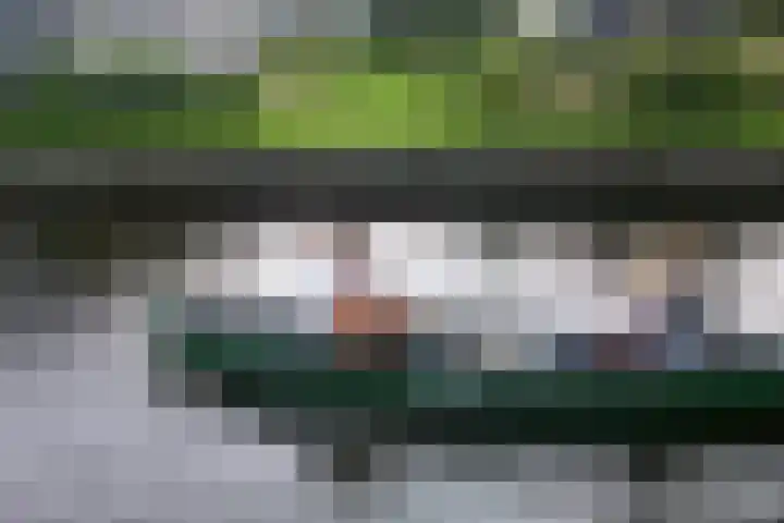 Marderleane 9 A 10 Rijs thumbnail 37