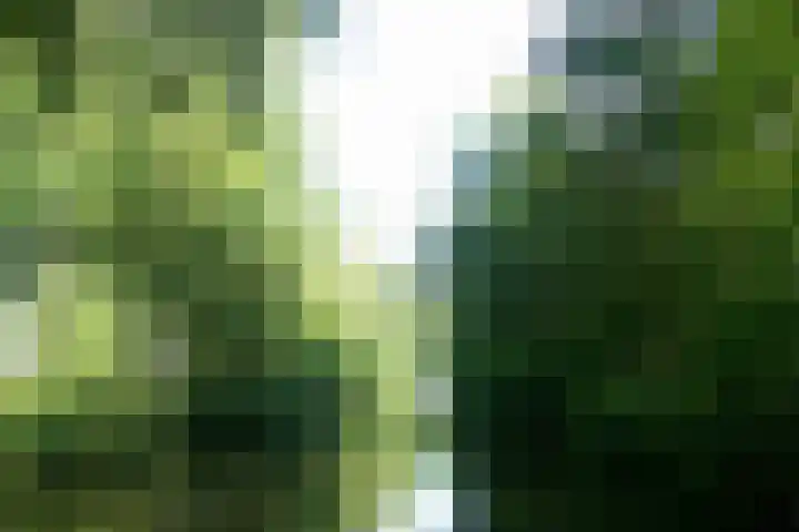 Marderleane 9 A 10 Rijs thumbnail 38