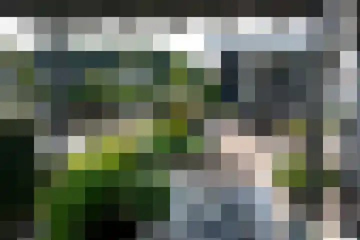 Marderleane 9 A 10 Rijs thumbnail 39