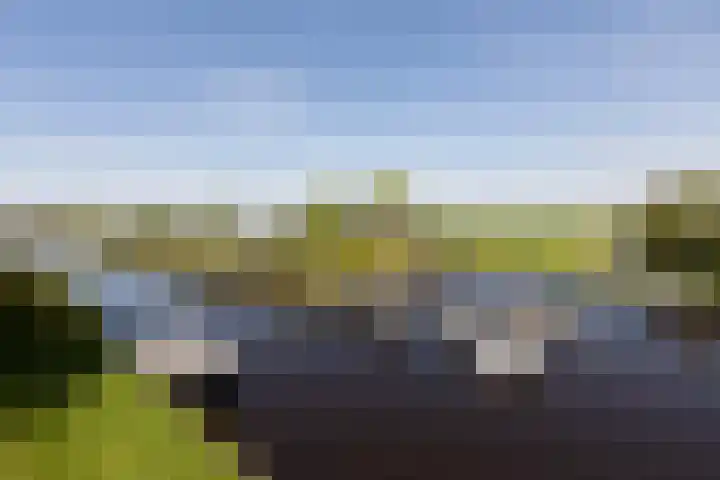 Marderleane 9 A 10 Rijs thumbnail 4