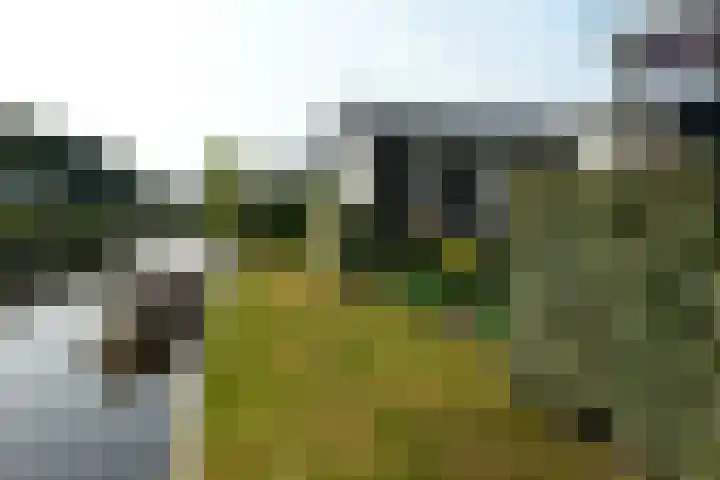Marderleane 9 A 10 Rijs thumbnail 41