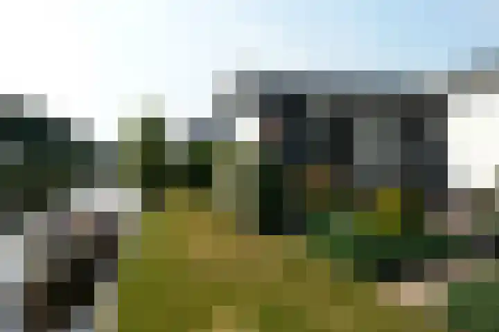 Marderleane 9 A 10 Rijs thumbnail 42