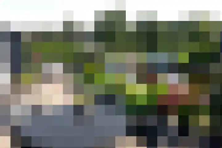 Marderleane 9 A 10 Rijs thumbnail 43