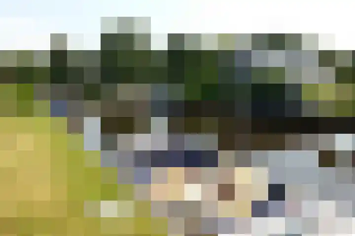 Marderleane 9 A 10 Rijs thumbnail 45