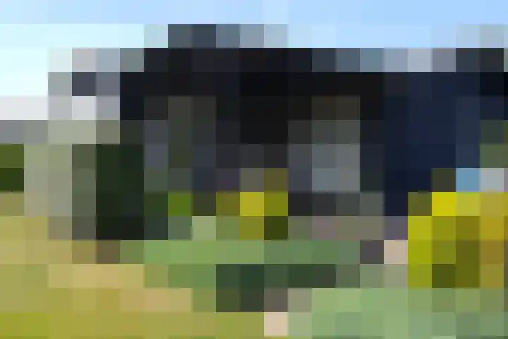 Marderleane 9 A 10 Rijs thumbnail 47