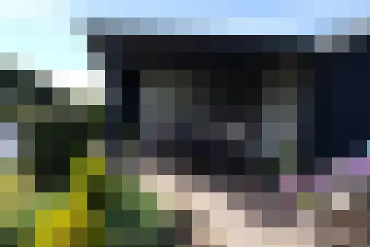 Marderleane 9 A 10 Rijs thumbnail 48