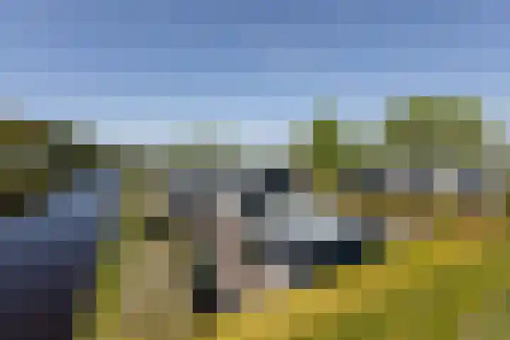 Marderleane 9 A 10 Rijs thumbnail 5