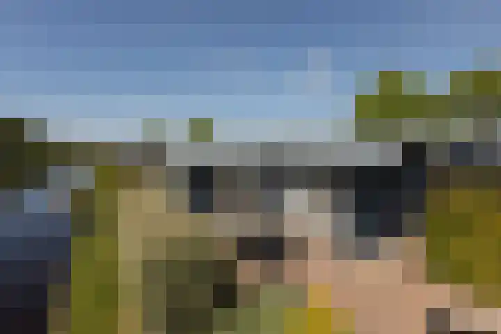 Marderleane 9 A 10 Rijs thumbnail 52