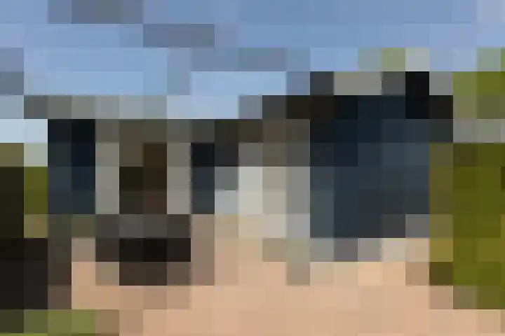 Marderleane 9 A 10 Rijs thumbnail 9