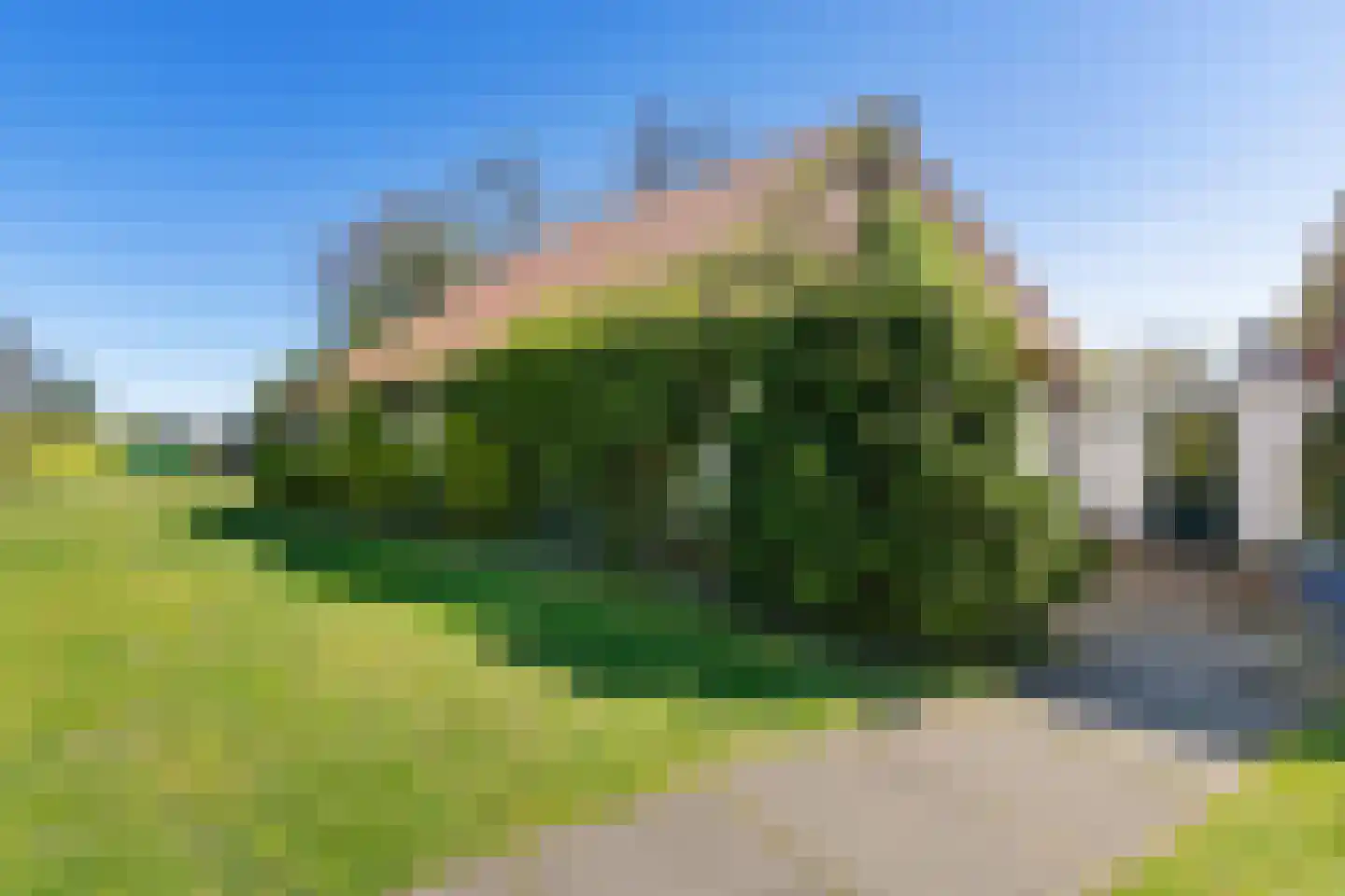 Marderleane 9 Rijs thumbnail 4