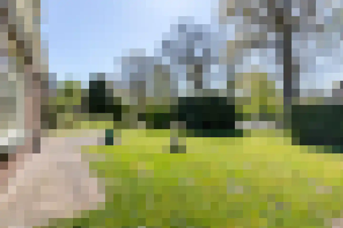 Marderleane 9 Rijs thumbnail 45