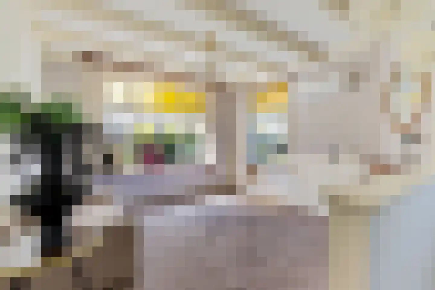Marderleane 9 Rijs thumbnail 7