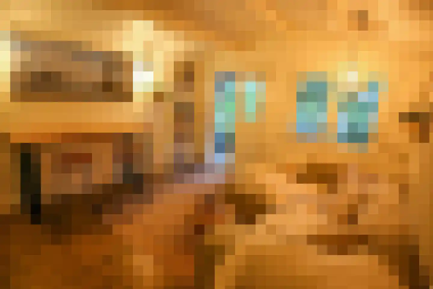 Mardyk 3 A 3 Elahuizen thumbnail 12