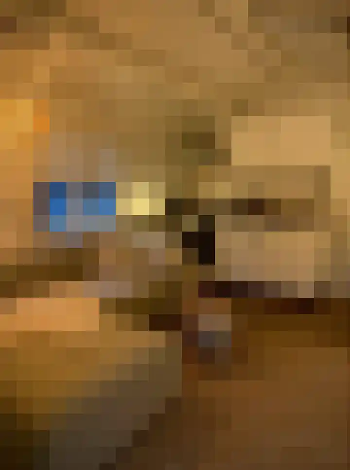 Mardyk 3 A 3 Elahuizen thumbnail 13