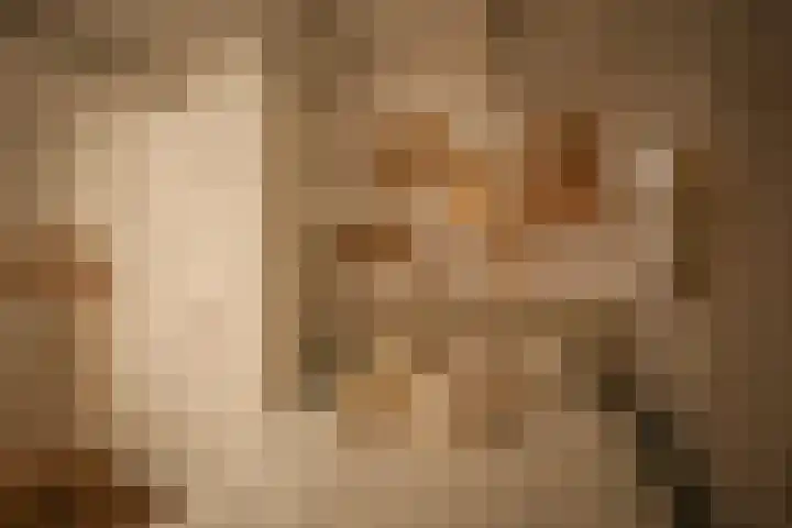 Mardyk 3 A 3 Elahuizen thumbnail 15
