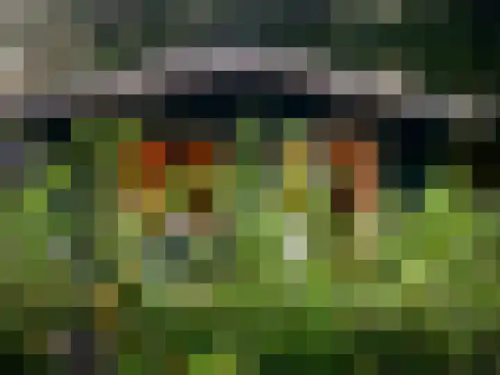Mardyk 3 A 3 Elahuizen thumbnail 5