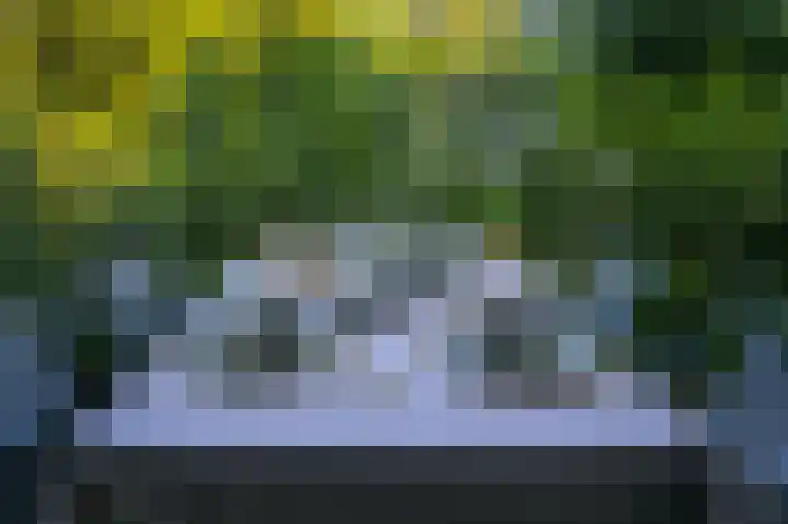 Mardyk 3 A 3 Elahuizen thumbnail 6